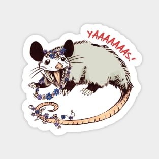 Daisy Chain Opossum Possum Yaaaas! Sticker